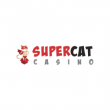 SuperCat App-evaluering SuperCat App-evaluering
